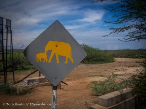 Elephant crossing sign in Sri Lanka