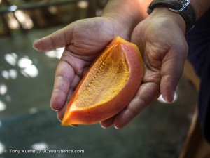 Sri Lankan Papaya